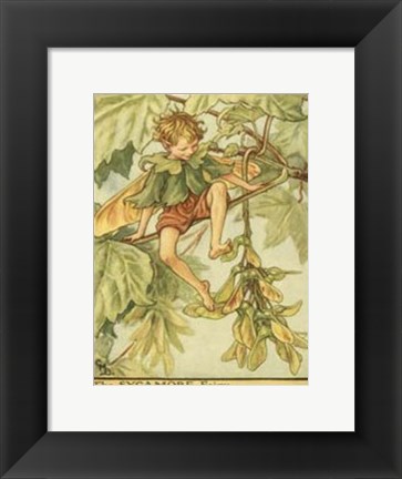 Framed Sycamore Fairy Print