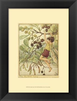 Framed Alder Fairy Print