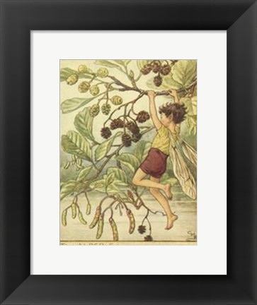 Framed Alder Fairy Print