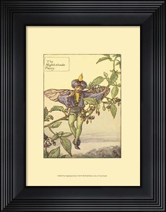 Framed Nightshade Fairy Print