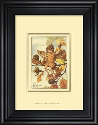 Framed Beechnut Fairy Print