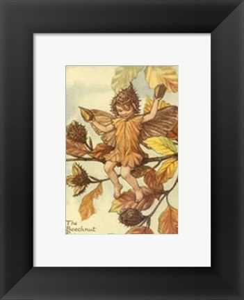 Framed Beechnut Fairy Print