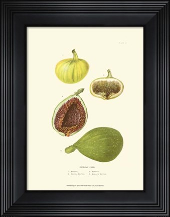 Framed Figs Print