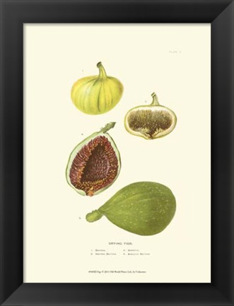 Framed Figs Print