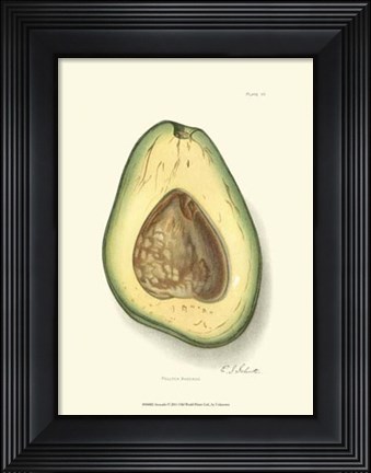 Framed Avocado Print
