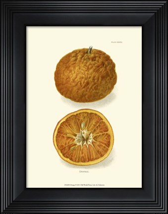 Framed Orange Print
