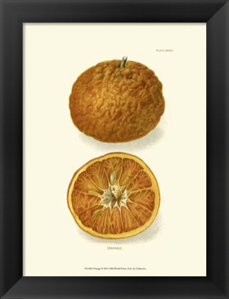 Framed Orange Print