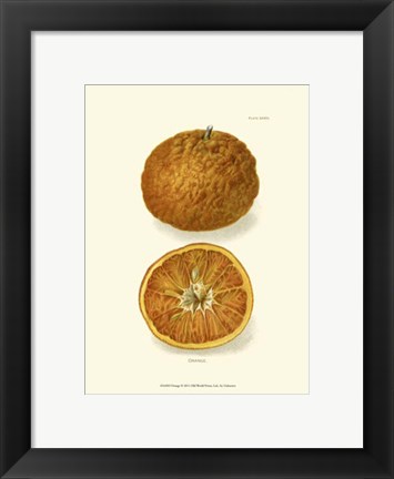 Framed Orange Print