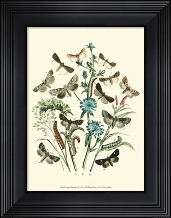 Framed Garden Butterflies II Print
