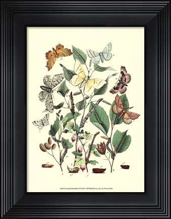 Framed Garden Butterflies III Print