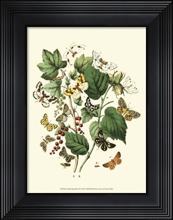 Framed Garden Butterflies IV Print
