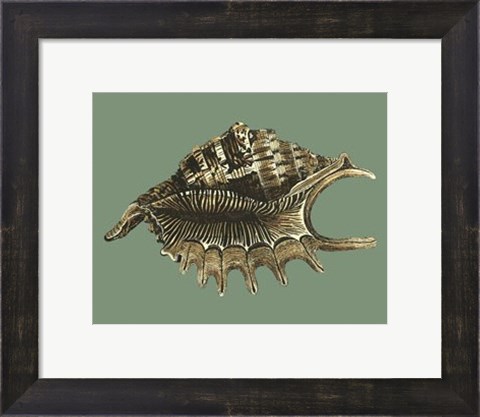 Framed Mini Ocean&#39;s Treasure V Print