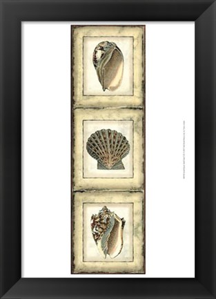 Framed Small Rustic Shell Panel I Print