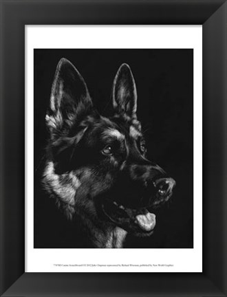 Framed Canine Scratchboard I Print