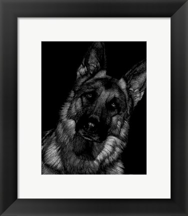 Framed Canine Scratchboard II Print