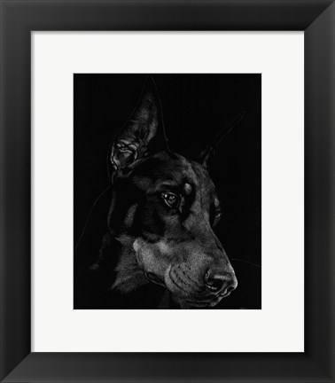 Framed Canine Scratchboard III Print