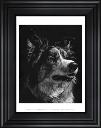 Framed Canine Scratchboard IV Print