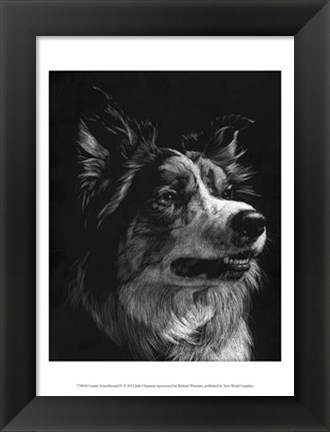 Framed Canine Scratchboard IV Print