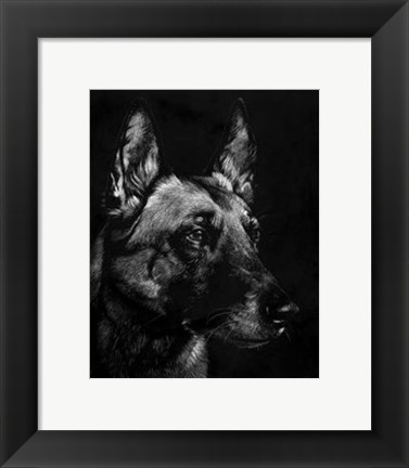 Framed Canine Scratchboard V Print