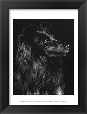 Framed Canine Scratchboard VI Print