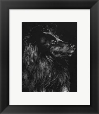 Framed Canine Scratchboard VI Print