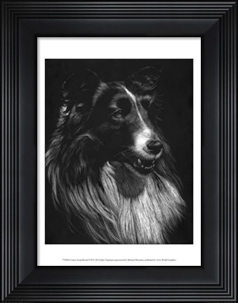 Framed Canine Scratchboard VII Print