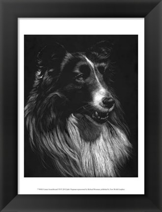 Framed Canine Scratchboard VII Print