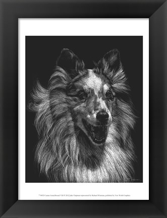 Framed Canine Scratchboard VIII Print