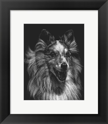 Framed Canine Scratchboard VIII Print