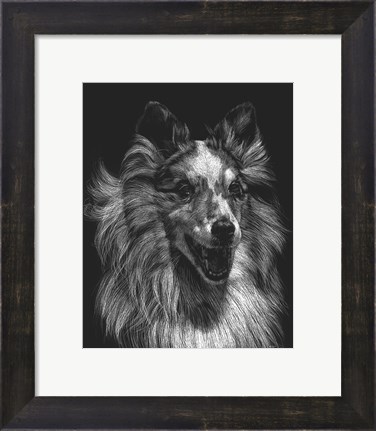 Framed Canine Scratchboard VIII Print