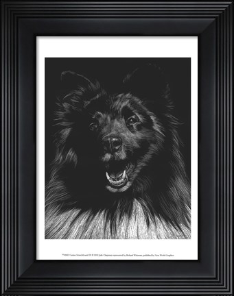 Framed Canine Scratchboard IX Print