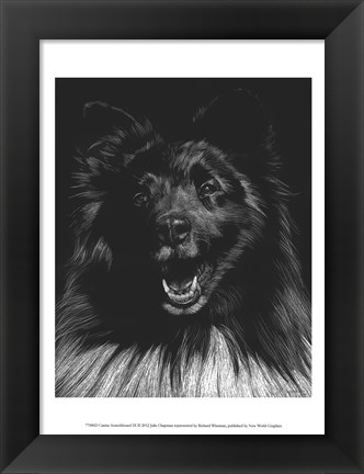 Framed Canine Scratchboard IX Print