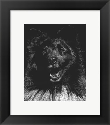 Framed Canine Scratchboard IX Print