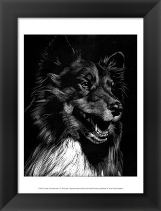 Framed Canine Scratchboard X Print