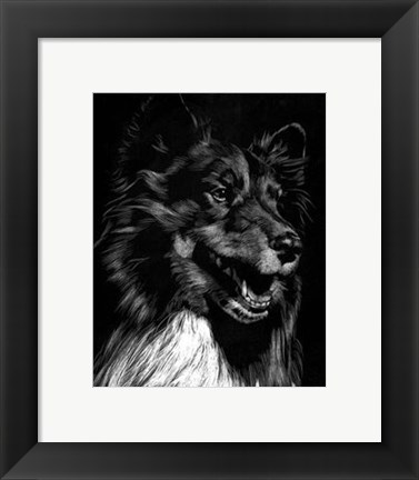 Framed Canine Scratchboard X Print