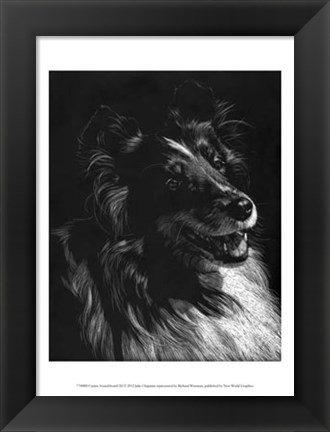 Framed Canine Scratchboard XI Print