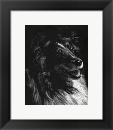 Framed Canine Scratchboard XI Print