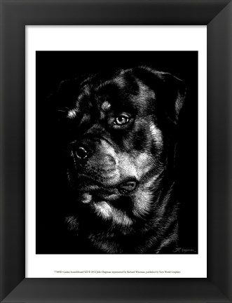 Framed Canine Scratchboard XII Print
