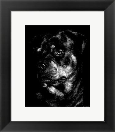 Framed Canine Scratchboard XII Print