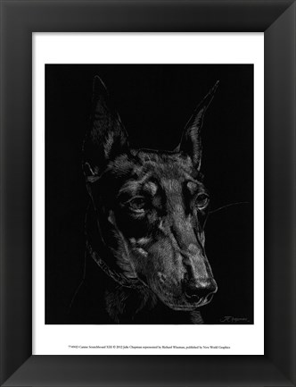 Framed Canine Scratchboard XIII Print