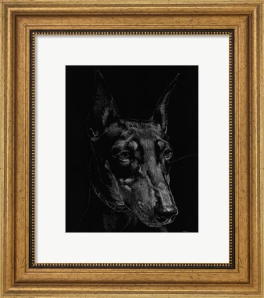 Framed Canine Scratchboard XIII Print