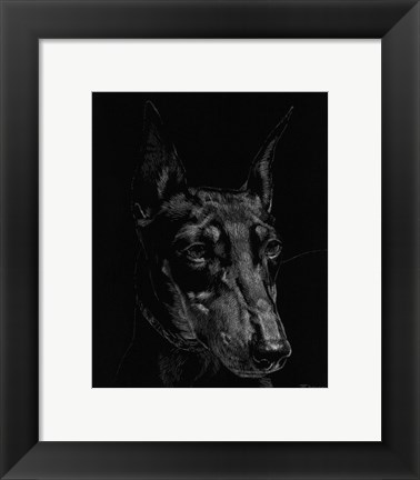 Framed Canine Scratchboard XIII Print