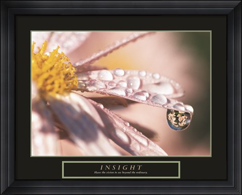 Framed Insight - Dewdrop Print