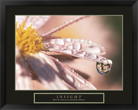 Framed Insight - Dewdrop Print