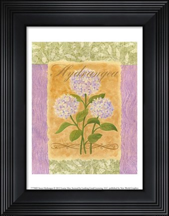 Framed Sweet Hydrangea Print