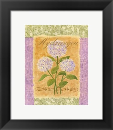 Framed Sweet Hydrangea Print