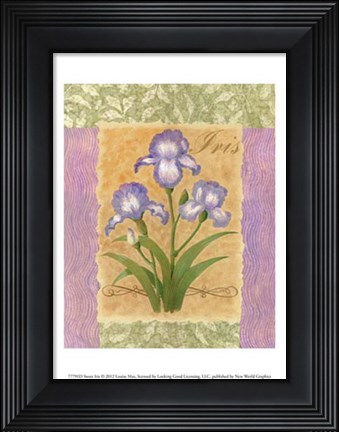 Framed Sweet Iris Print