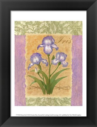 Framed Sweet Iris Print