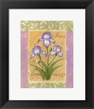 Framed Sweet Iris Print