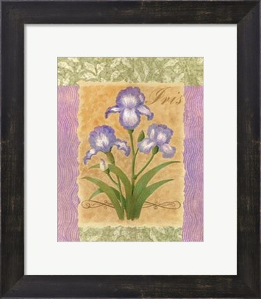 Framed Sweet Iris Print
